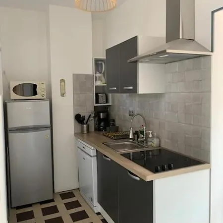 Du Phoque Gris Berck