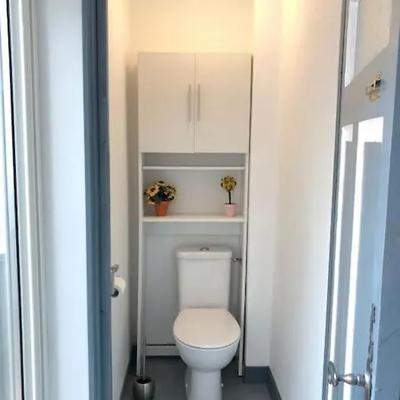 Du Phoque Gris
