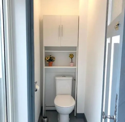 Du Phoque Gris